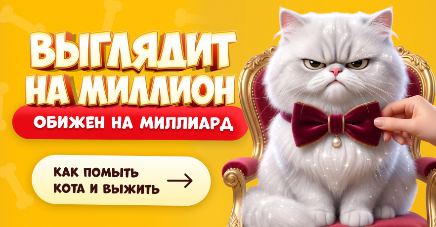Как помыть кота и выжить: пошаговая инструкция, лайфхаки и уход