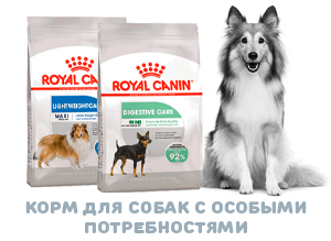 Купить корм Роял Канин для привередливых собак